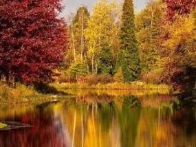 时时彩和其他彩票游戏比较